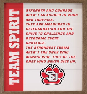 Team Spirit University Of South Dakota